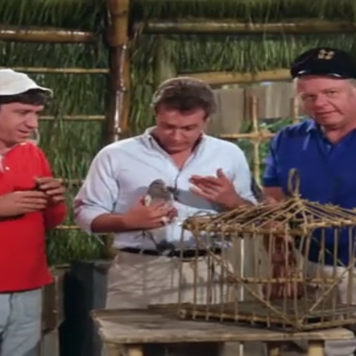 Gilligan's Island TV Show Series MP4 Digital Download  - Full Color - Season Three - 30 Episodes Gilligans Island 1964 - 1967