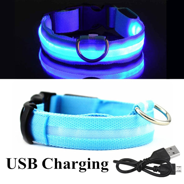 Light up your furry friends’s world with our adjustable LED glowing pet collar!
