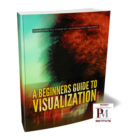 A Beginners Guide to Visualization eBook