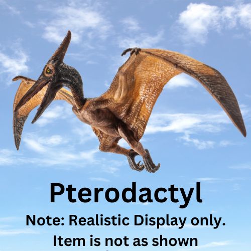 Boley's Educational Dinosaur Pterodactyl Action Figure