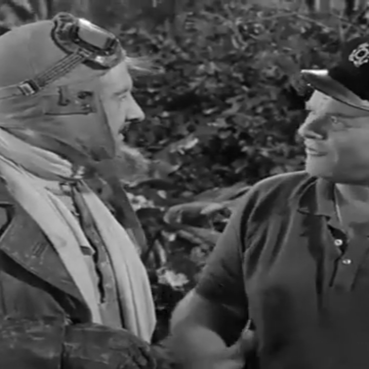 Gilligan's Island TV Show Series MP4 Digital Download  - B/W Original Pilot - Season One - 36 Episodes Gilligans Island Full Episodes 1964