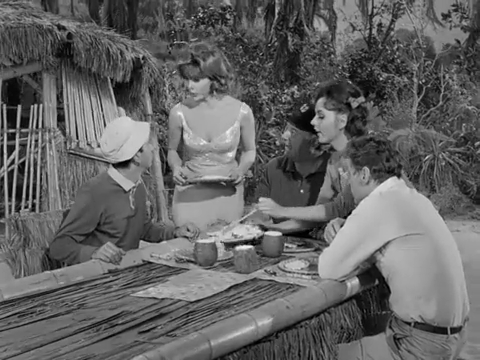 Gilligan's Island TV Show Series MP4 Digital Download  - B/W Original Pilot - Season One - 36 Episodes Gilligans Island Full Episodes 1964