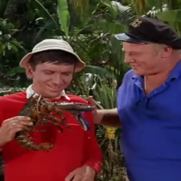 Gilligan's Island TV Show Series MP4 Digital Download  - Full Color - Season Two - 32 Episodes Gilligans Island 1964 - 1967